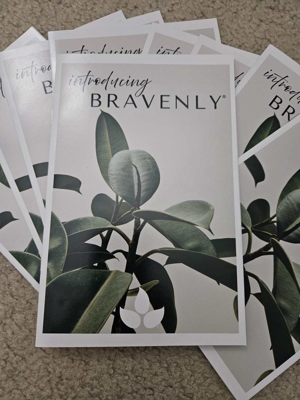 BRAVENLY Pamphlets